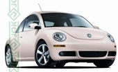Beetle